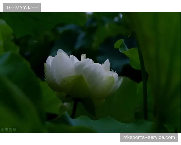 帕尔默的高光表现能否持续：是昙花一现还是实力兑现？